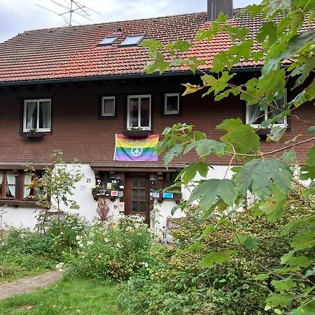Gaestehaus Lickert Familie Dreher 힌터짤텐 외부 사진